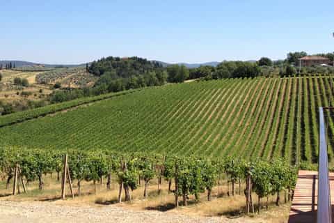 From Florence: Small Group Wine Tasting Tour to Tuscany