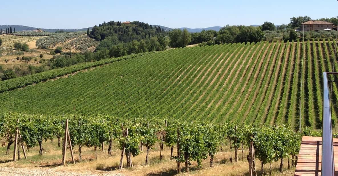 From Florence: Small Group Wine Tasting Tour to Tuscany | GetYourGuide