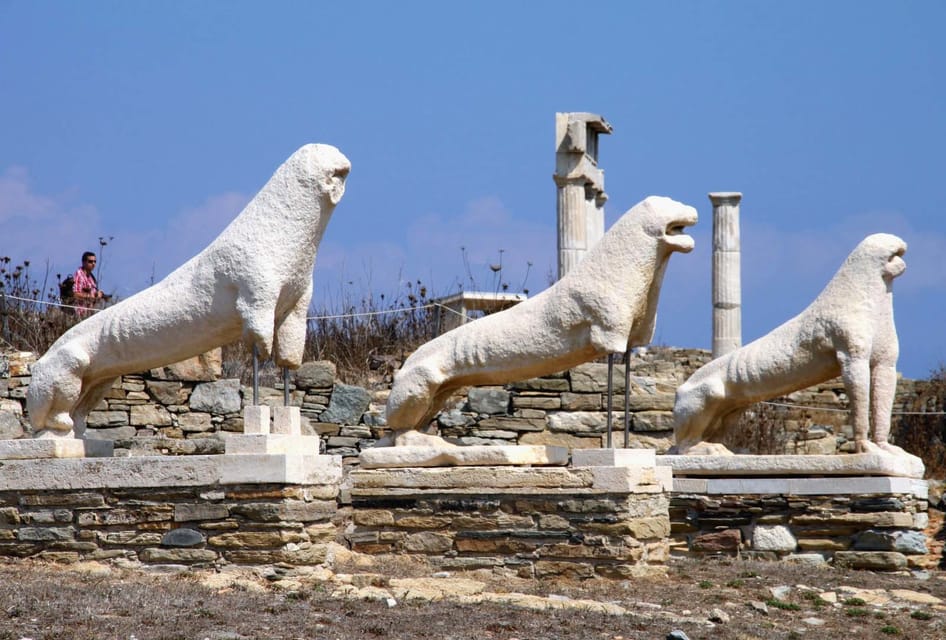 From Mykonos Ancient Delos Tour GetYourGuide