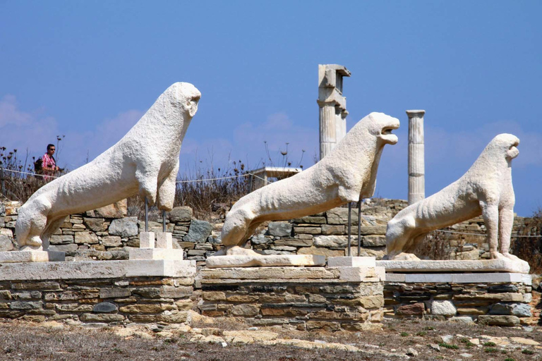 From Mykonos: Ancient Delos Tour From Mykonos: Ancient Delos Tour without Pick-Up