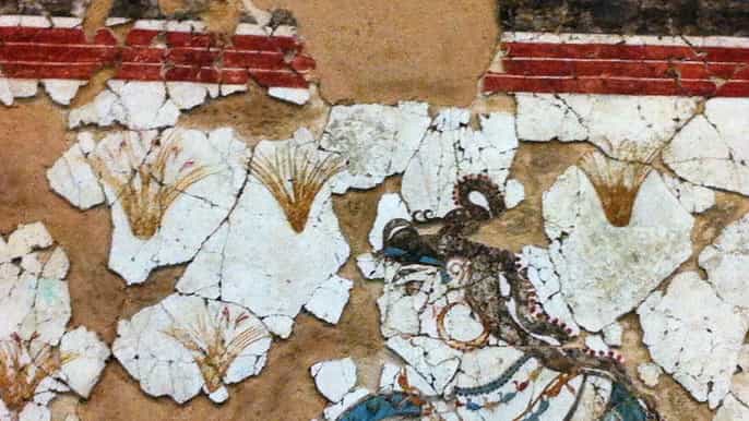 explore akrotiri private guided tour with hotel pickup