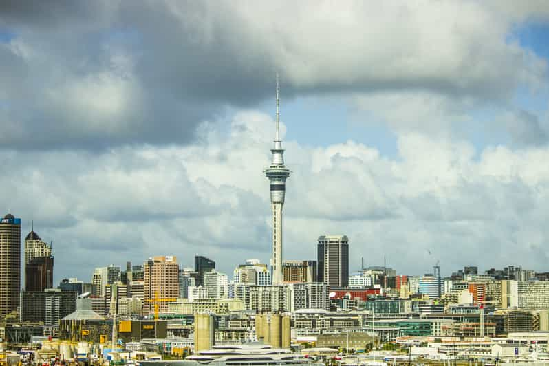 Auckland Welcome Tour: Private Tour With A Local | GetYourGuide