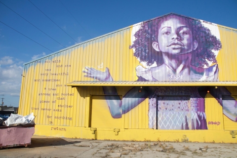 Miasto Nowy Orlean i Katrina Recovery TourWycieczka po Nowym Orleanie