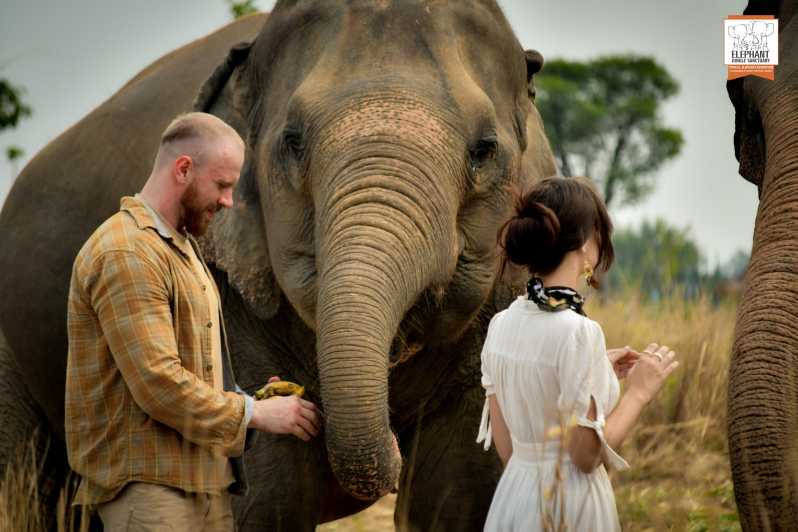 Pattaya: Elefanten-Dschungel-Schutzgebiet Halbtagestour mit Mahlzeit