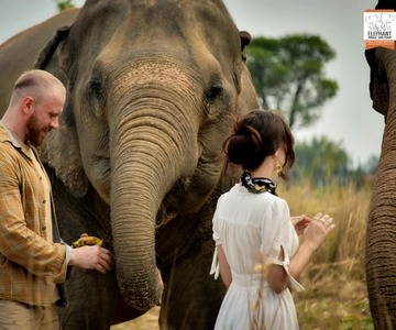 Pattaya: Elephant Jungle Sanctuary Half-Day Tour with Meal