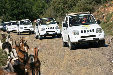 Safari sans chauffeur en Crète : Palm Beach et canyons