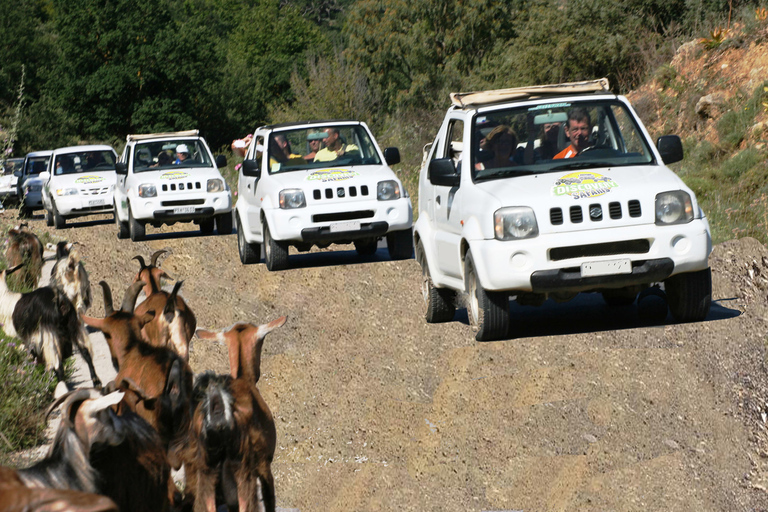 Jeep safari na południe wyspy, do plaży palmowej i wąwozów