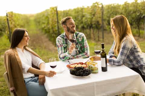 Bodegas Dealu Mare: tour de cata de vinos en la antigua ruta del vino