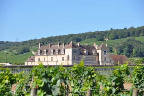 Burgundy Luxury Half–Day Côte de Nuits Vineyards Tour