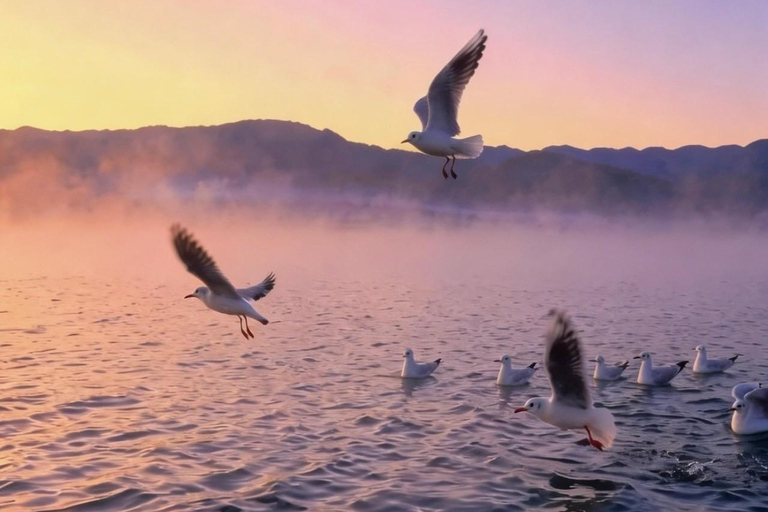 From Kunming: 8-Day Yunnan Private Cultural Tour