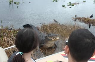 Ab Miami: Everglades Airboat-Tour & Naturspaziergang