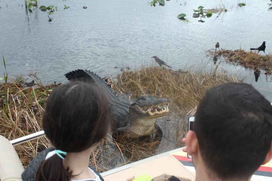 Ab Miami: Everglades Airboat-Tour & Naturspaziergang. Foto: GetYourGuide