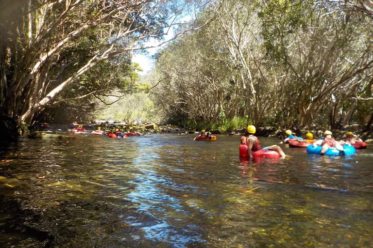 Depuis Cairns et les plages du nord : Rainforest River Tubing