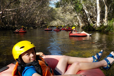 Desde Cairns y Northern Beaches: Rainforest River Tubing