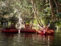 Von Cairns und Northern Beaches, Rainforest River Rohring - Housity