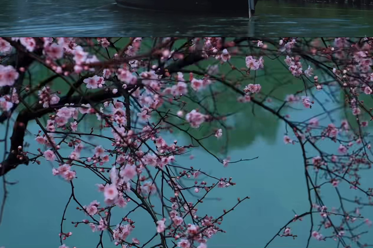 Hangzhou Xixi Wetland Boat Ride & Afternoon Tea Private Boat Experience (1–8 Guests)