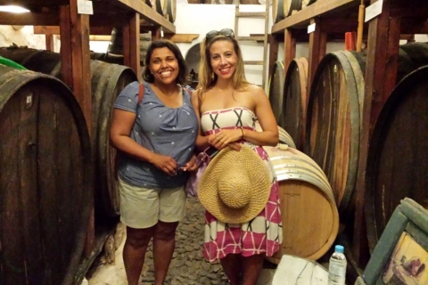 Santorini: recorrido por la historia y las rutas del vinoSantorini: tour en grupo de medio día por la historia y las rutas del vino