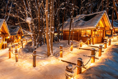 Hokkaido Winter Shikisai no Oka, Blue Pond (Dec.10 - Mar.10) 10:40 am meet at JR Sapporo Station North exit