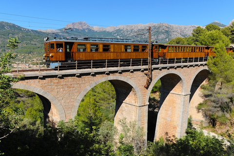 Ab Palma: Tramuntana-Tour mit dem Roten Blitz & Bus