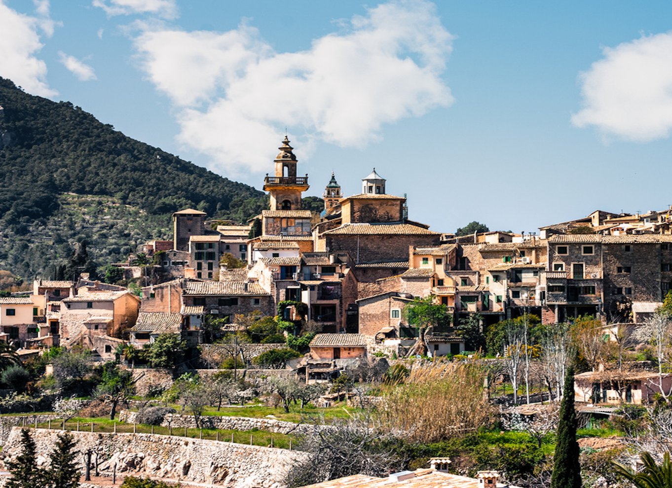 Palma: Tramuntana heldagstur med Sóller-tog og frokost