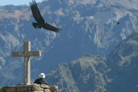 Excursão de 1 dia ao Canyon do Colca saindo de Arequipa