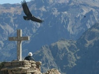 Visite de Colca Canyon d'une journée à Arequipa - Hizvo