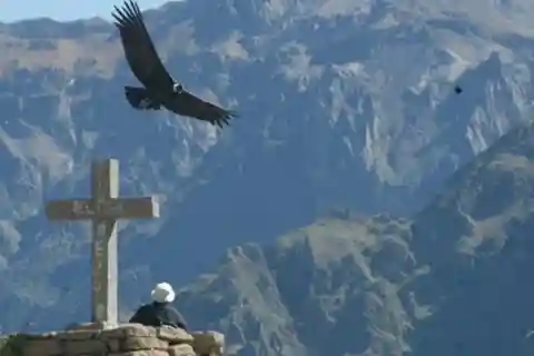 Tour di un giorno intero del Canyon del Colca da Arequipa