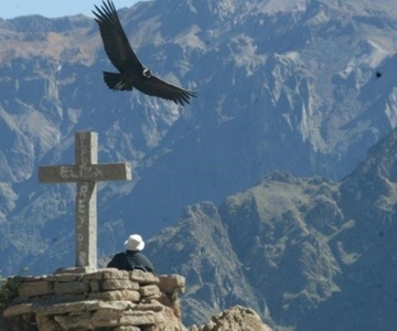 Full-Day Colca Canyon Tour from Arequipa