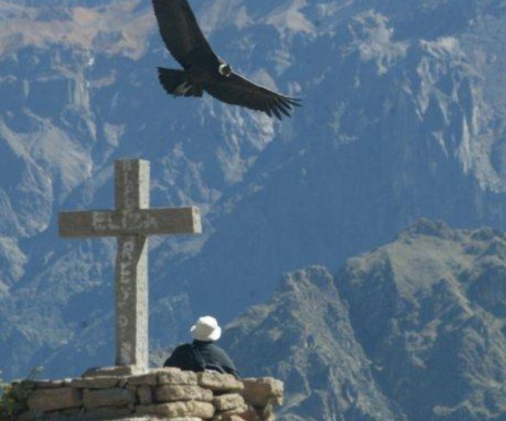 Full-Day Colca Canyon Tour from Arequipa