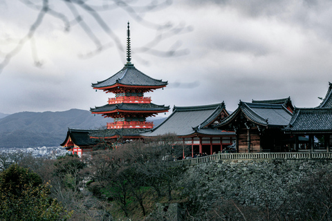 Från Osaka till Nara till Kyoto: En privat dagstur med förare