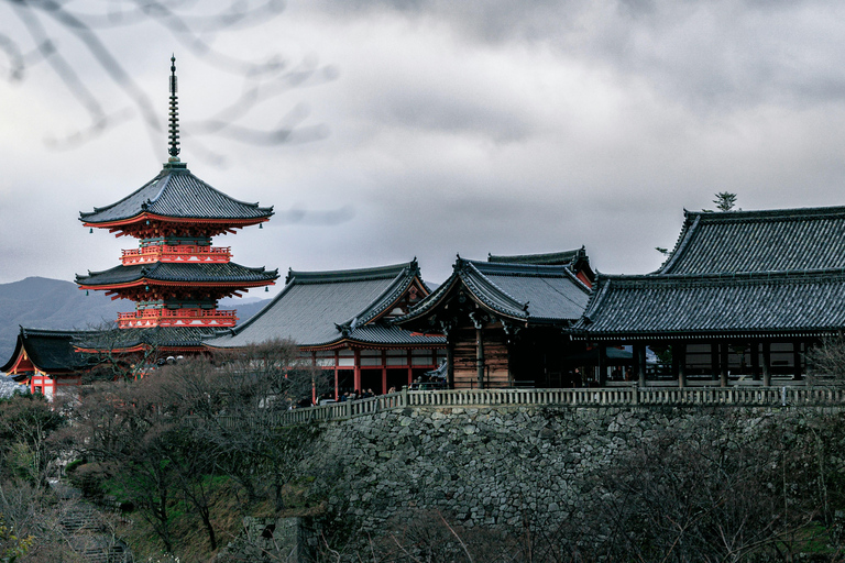 Från Osaka till Nara till Kyoto: En privat dagstur med förare