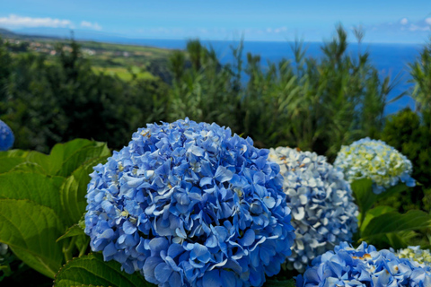 Northeast: Tour of Unspoiled Nature and Ribeira dos Caldeirões Northeast: Tour of Untouched Nature and Ribeira dos Caldeirões