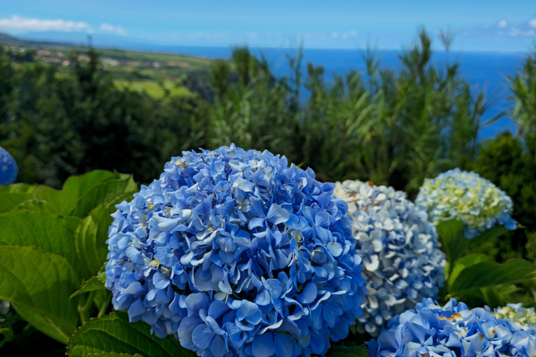 Northeast: Tour of Unspoiled Nature and Ribeira dos Caldeirões Northeast: Tour of Untouched Nature and Ribeira dos Caldeirões