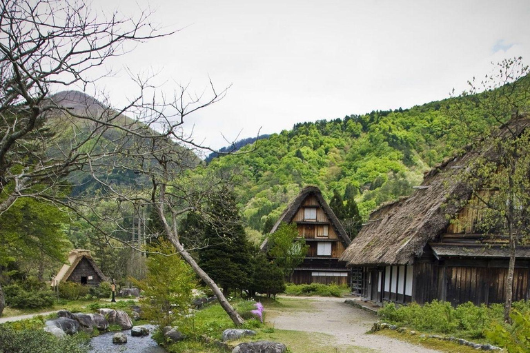 From Kanazawa: Shirakawa-go and Takayama Private Day Trip