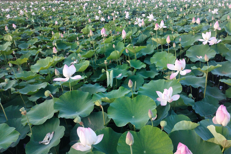From Hanoi: Ninh Binh, Hoa Lu, Tam Coc and Mua cave Private tour: Hoa Lu, Tam Coc and Mua Cave
