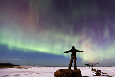 Vanuit Rovaniemi: Noorderlicht Fotosafari met ophaalservice