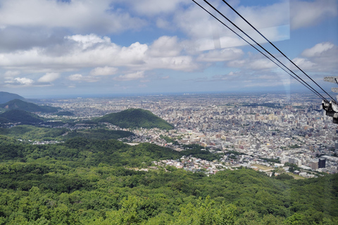 سابورو: جولة تلفريك جبل مويوا - ليلاً أو نهاراً، 4 خياراتاليوم – RT المحلي