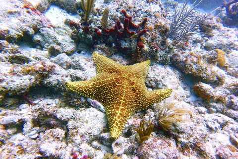 Jaskinia Salaam, Starfish Adventure, The Rock Lunch, Jaskinia Kuza