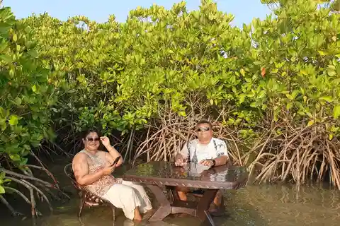 Mesa de piquenique flutuante: Uma experiência única na água dos mangais