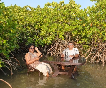 Floating Picnic Table: A Unique Mangrove Water Experience