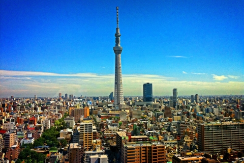 Tour privado de Tokio con un lugareñoTour de 5 horas