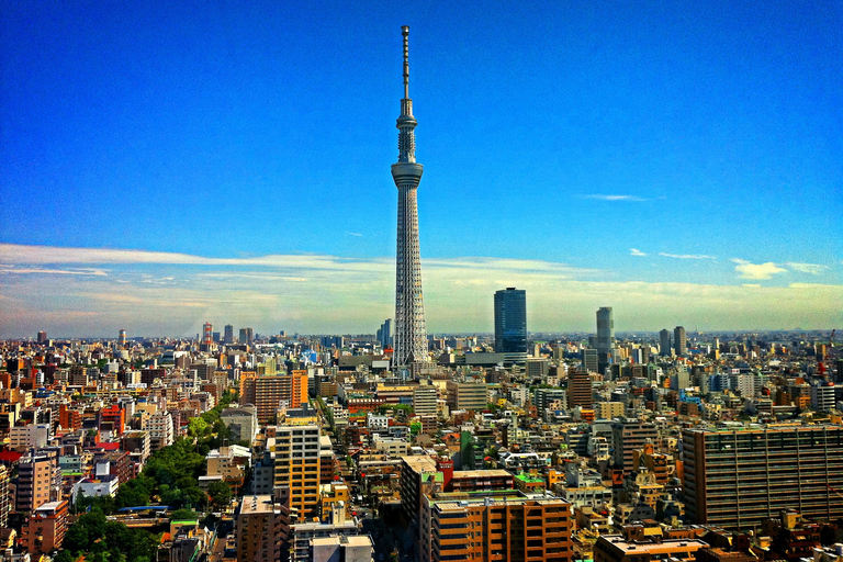 Tour privado de Tokio con un lugareñoTour de 4 horas