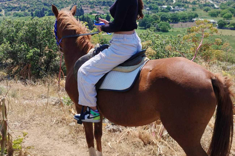 Bodrum: Horse Riding Experience with Forest or Seaside Route Seaside Horse Riding Tour (2 Hours – Beach Route)