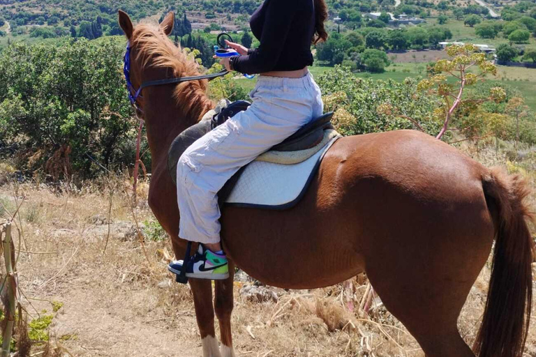 Bodrum: Horse Riding Experience with Forest or Seaside Route Seaside Horse Riding Tour (2 Hours – Beach Route)