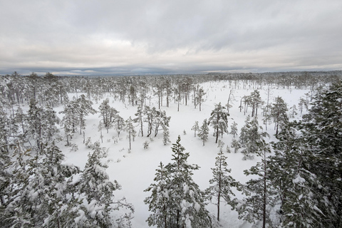 From Tallinn: Jägala Waterfall and Bog Walk Tour