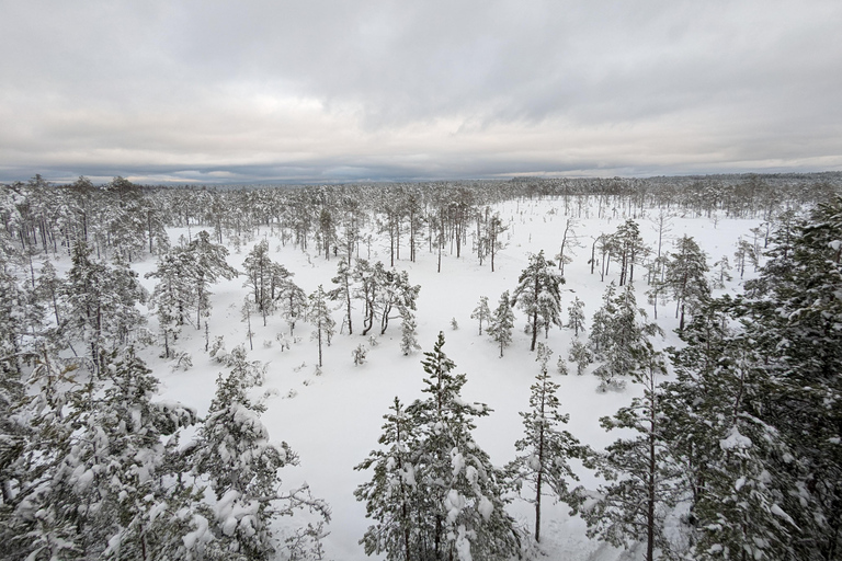 From Tallinn: Jägala Waterfall and Bog Walk Tour