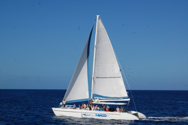 St. Lucia: Wanderung zu den Sapphire Falls mit Kreuzfahrt und kreolischem Mittagessen