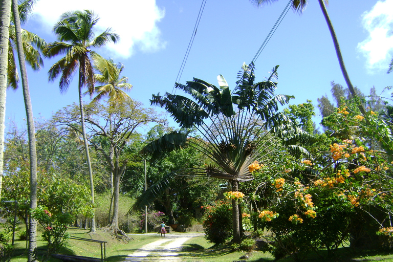St. Lucia: Wanderung zu den Sapphire Falls mit Kreuzfahrt und kreolischem Mittagessen