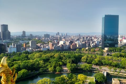 Welcome to Osaka: Private Tour with a Local Host