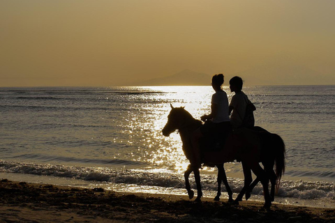Gili Trawangan : Biking, Horse Riding, Paddle Boat & Sunset